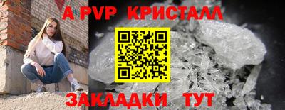 сатива Коммунар