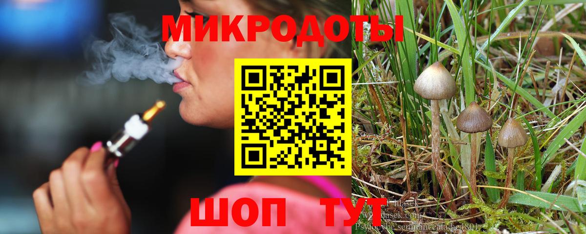 Псилоцибиновые грибы MAGIC MUSHROOMS Будённовск