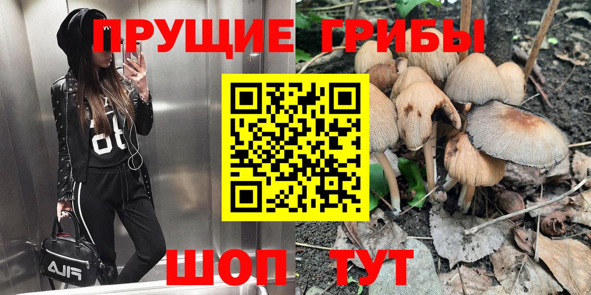 Будённовск  Галлюциногенные грибы Magic Shrooms  Псилоцибиновые грибы мицелий  Вход с VPN 